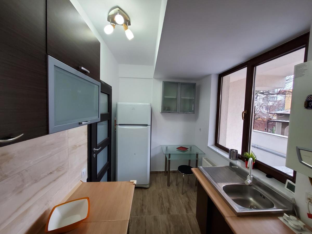 Morii Lake Apartment ブカレスト エクステリア 写真